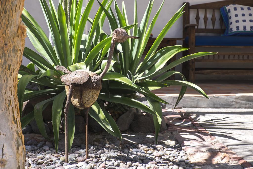 El Angel Azul Hacienda Otel La Paz Dış mekan fotoğraf